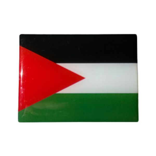 Badge Lumineux Drapeau Palestine – LED 3 Modes